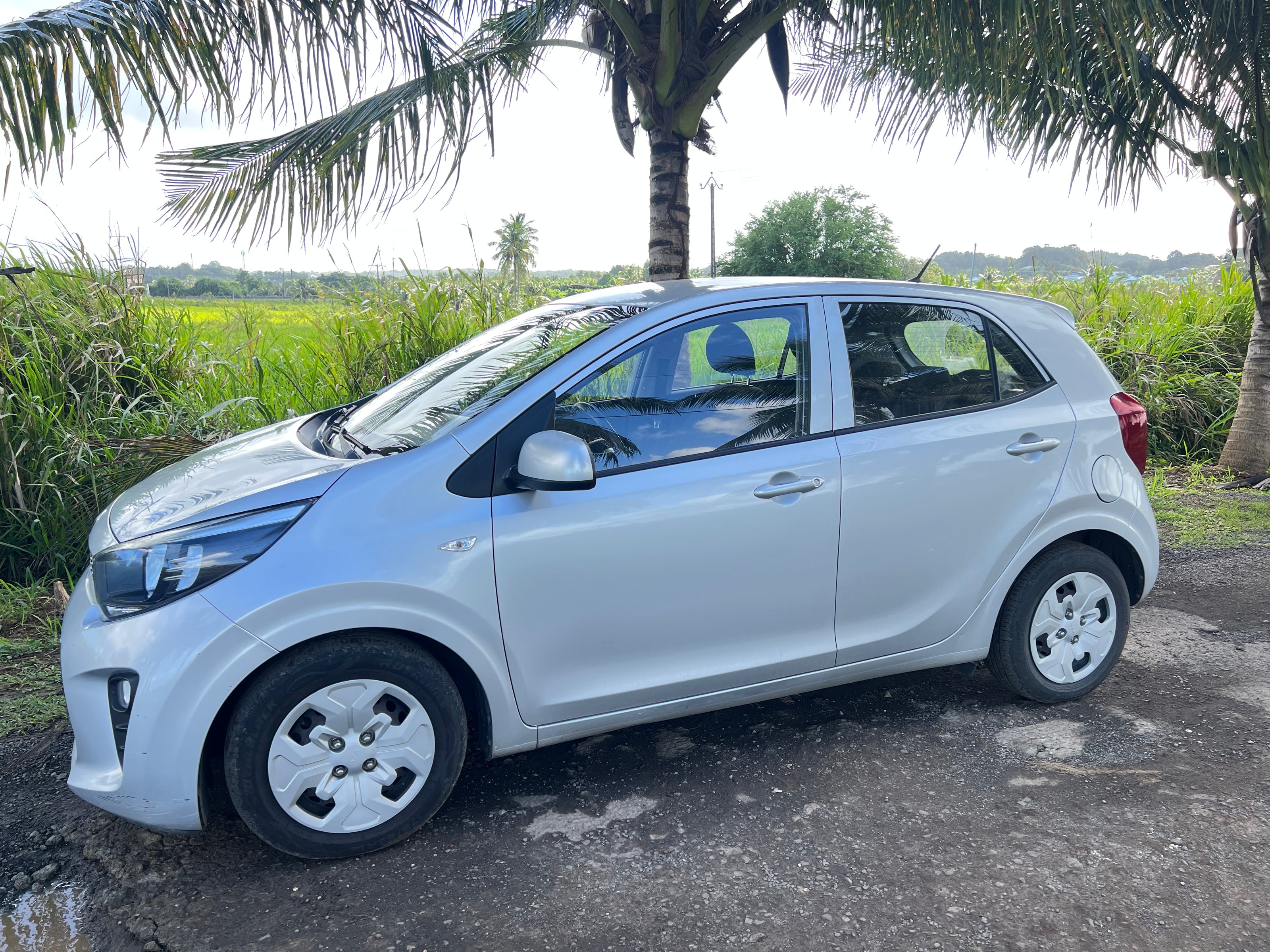 KIA PICANTO